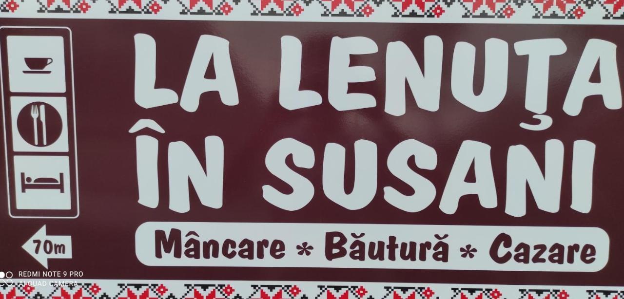 La Lenuța În Susani Breb Exterior foto