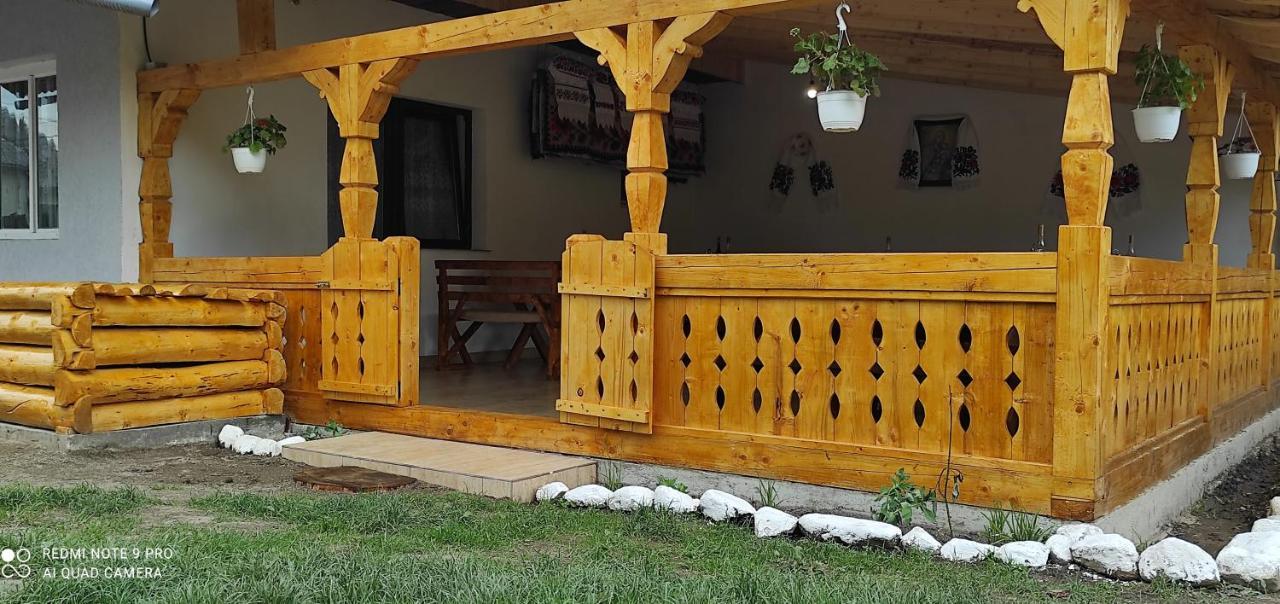 La Lenuța În Susani Breb Exterior foto